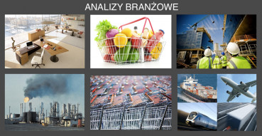 Analiza rynku e-commerce w Polsce